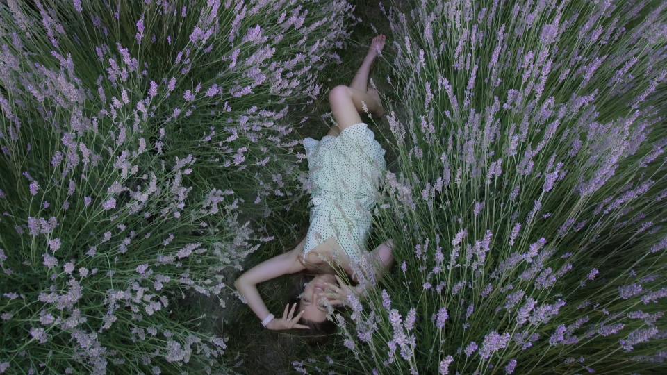 Giovane donna sdraiata tra le piante di lavanda
