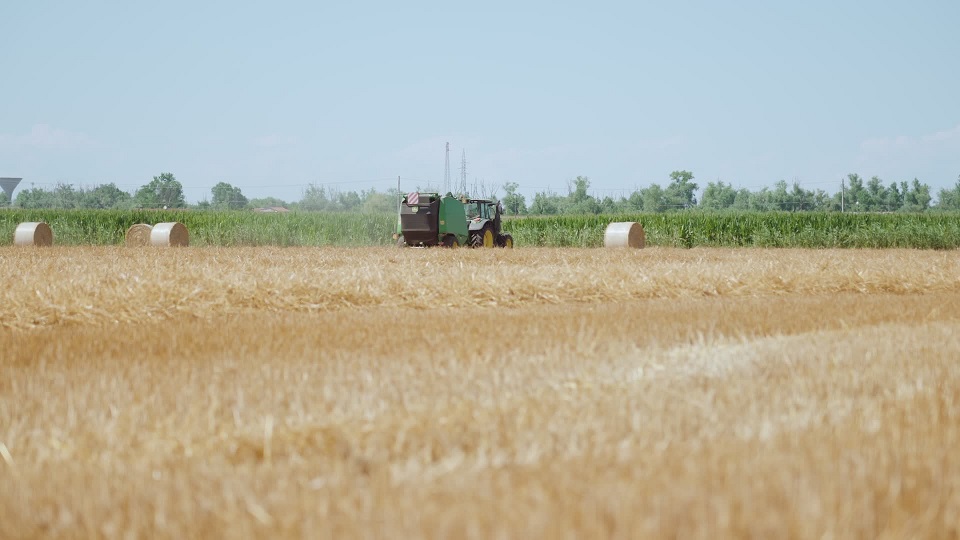 Tractor in Action on the Hayfield