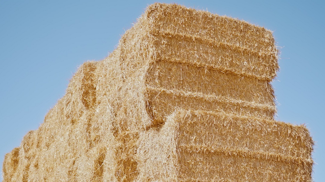 Hay Cubes in the Sun