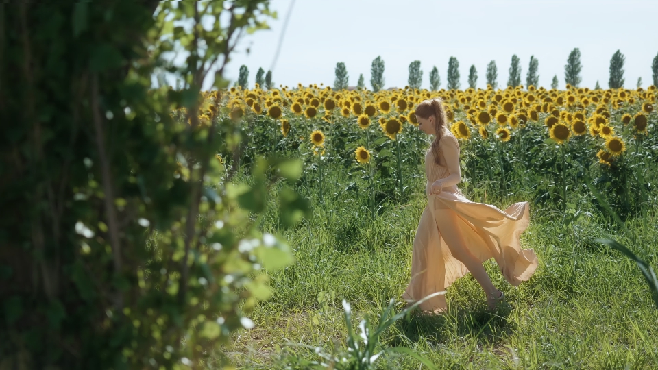 Elegance Among Sunflowers: Woman in Elegant Dress