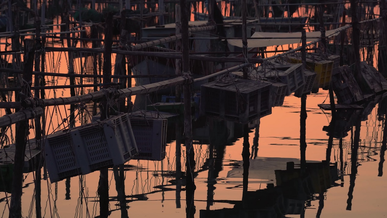 Containers with fish hanging on poles in the water