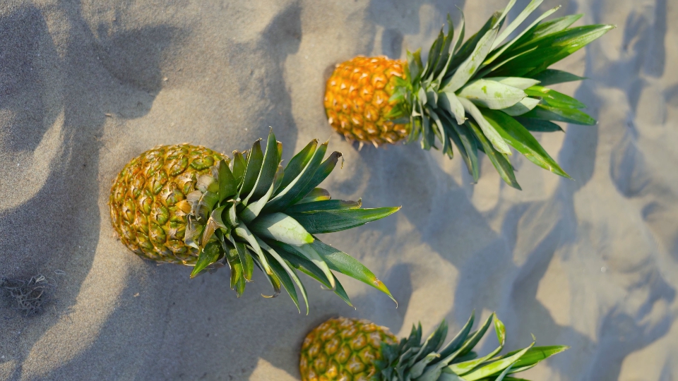 Tre ananas sulla sabbia