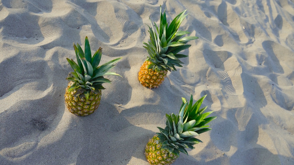 Tre ananas sulla sabbia