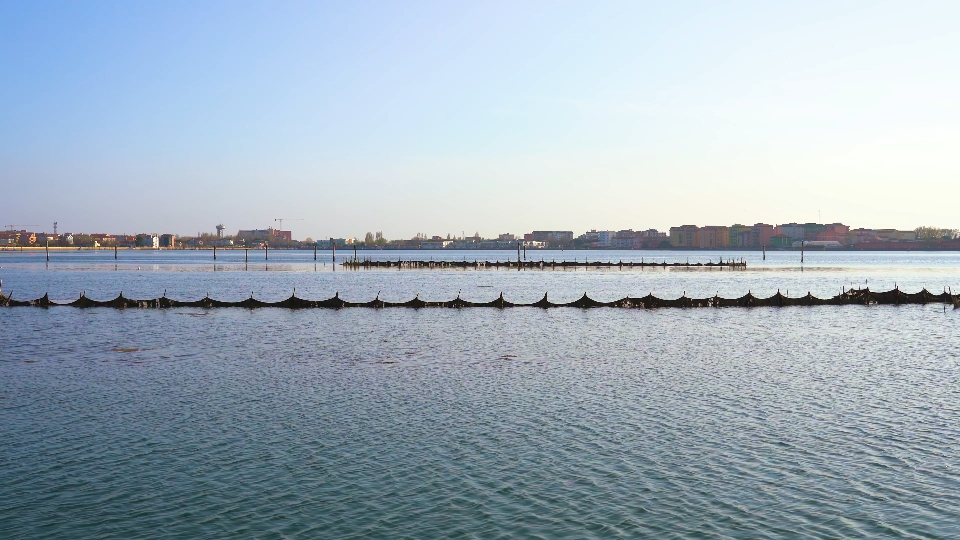 Reti da pesca nel mezzo di un fiume di fronte alla città