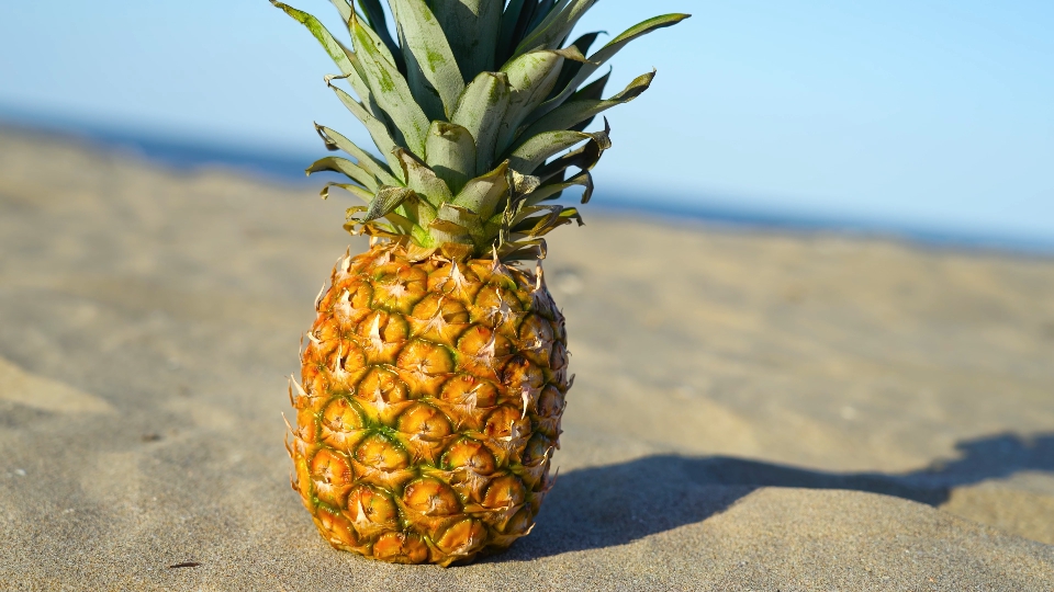 Gustoso ananas sulla sabbia illuminata della spiaggia
