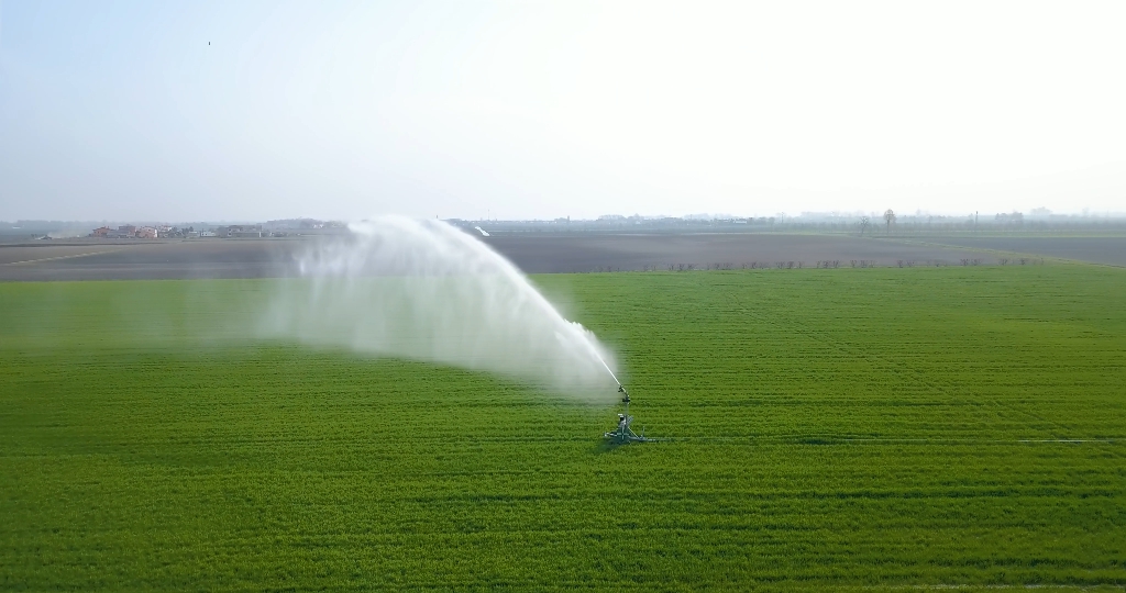 Un getto d’acqua viene spruzzato sul campo verde