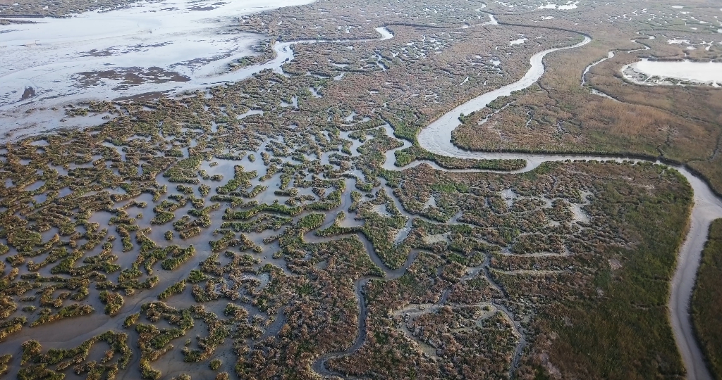Belle forme della laguna veneta in Italia