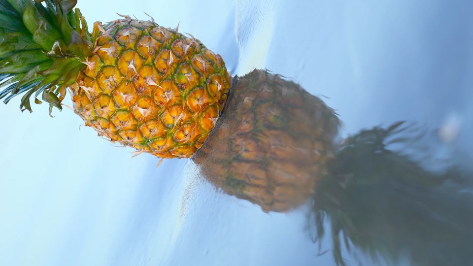 L’ananas gustoso viene immerso nell’acqua di mare
