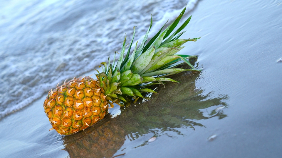 Tasty pineapple is bathed in sea water