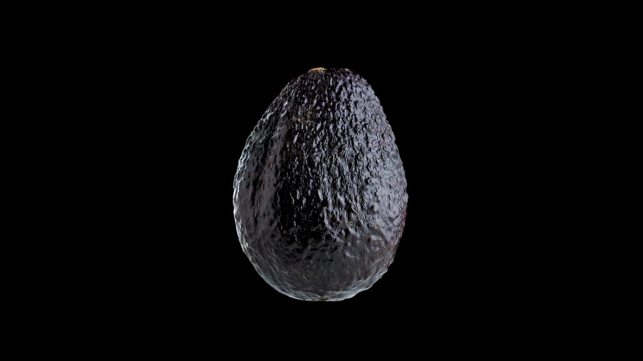 Ripe black mango on dark isolated background