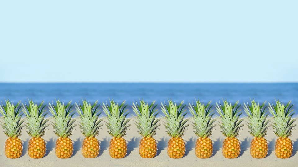 Molti ananas si sono allineati sulla spiaggia del mare azzurro