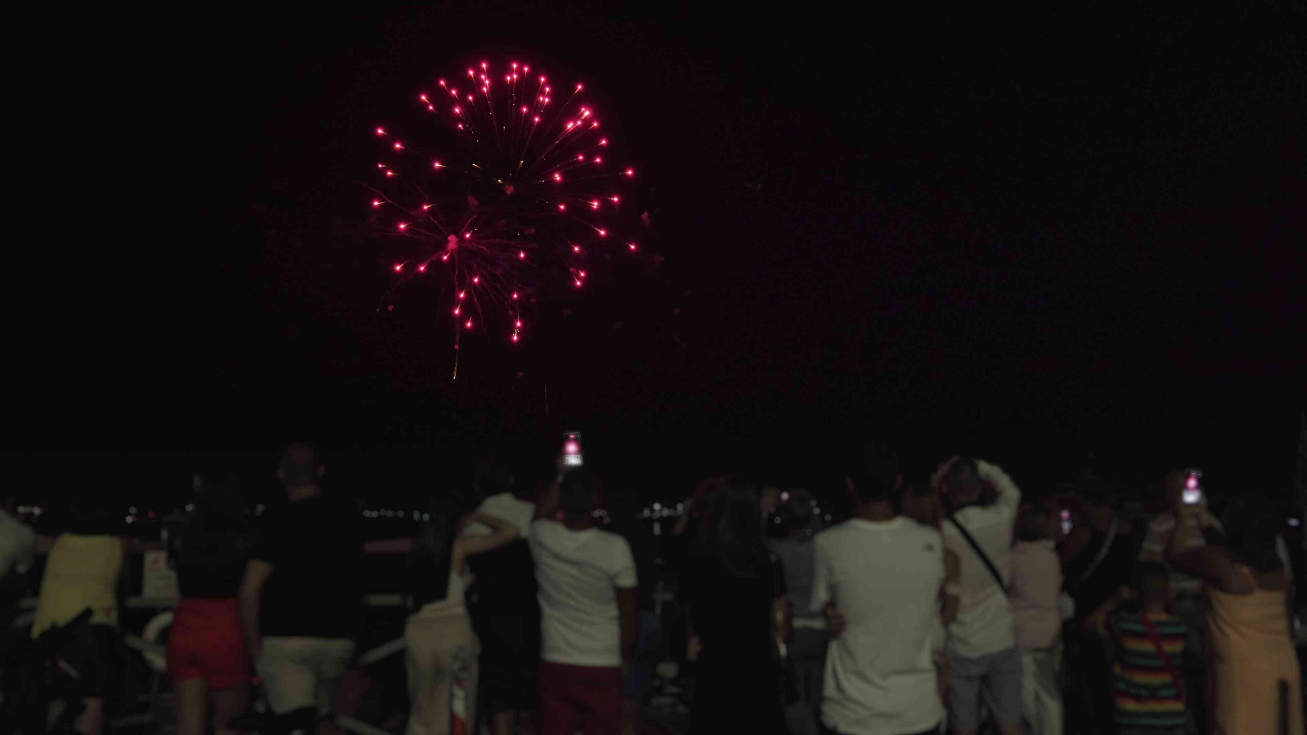 People watch fireworks at night