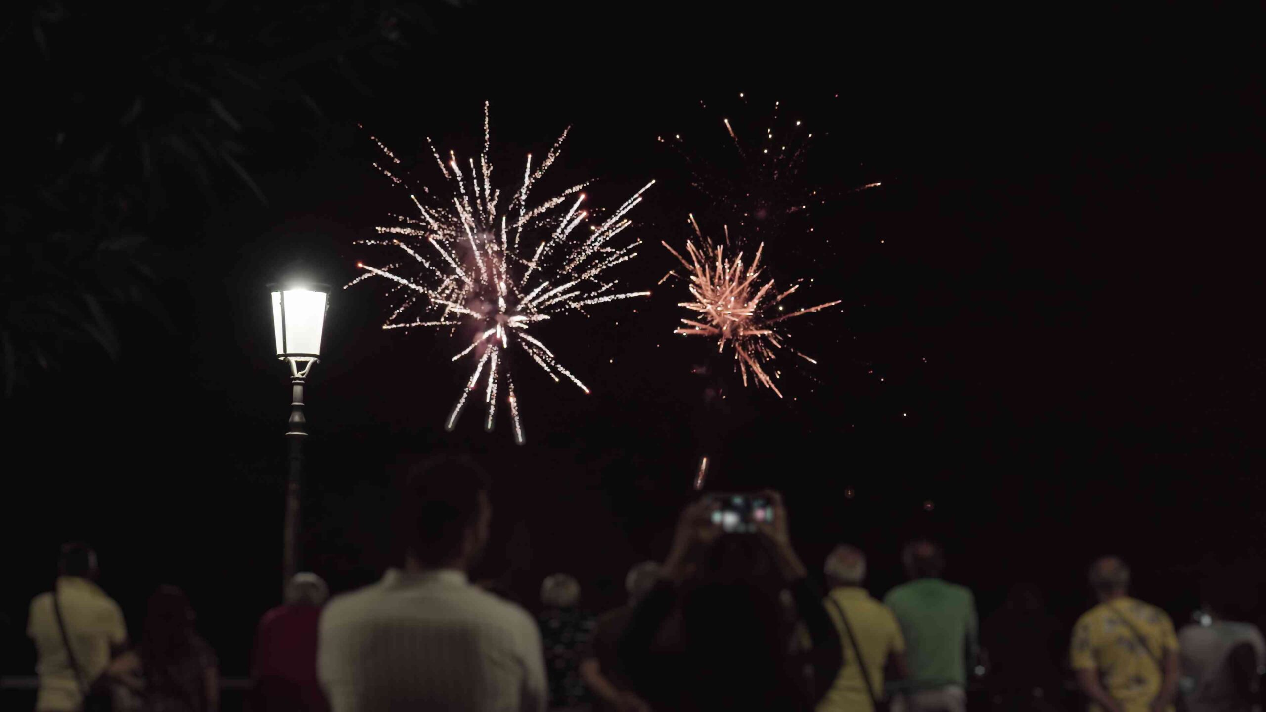 Persone osservano cielo cielo con esplosione dei fuochi d’artificio
