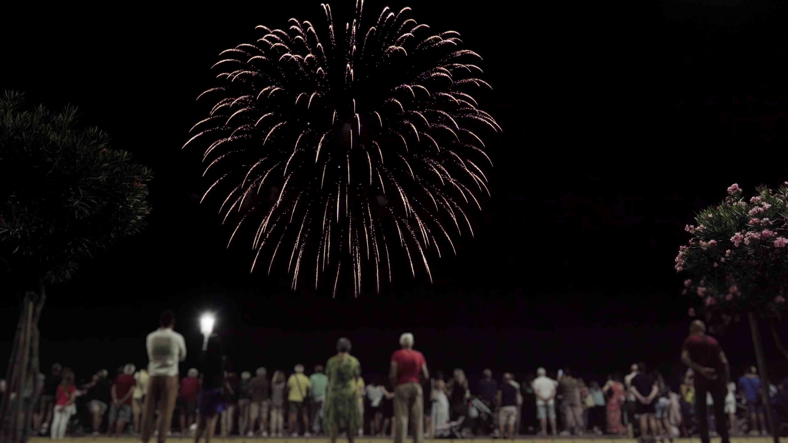 People watch the sky with fireworks