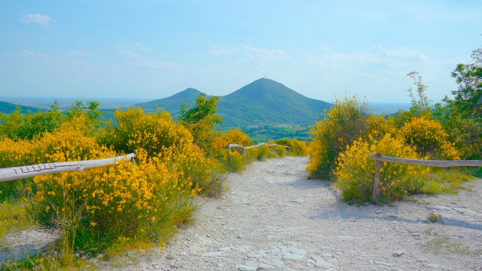 Dirt road between nature and hills in summer