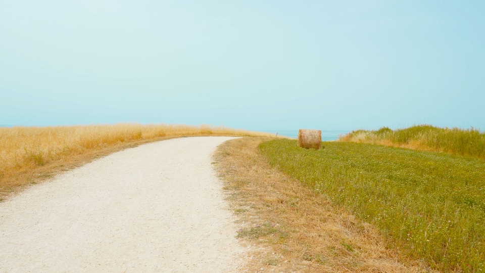 Dirt road between agricultural fields