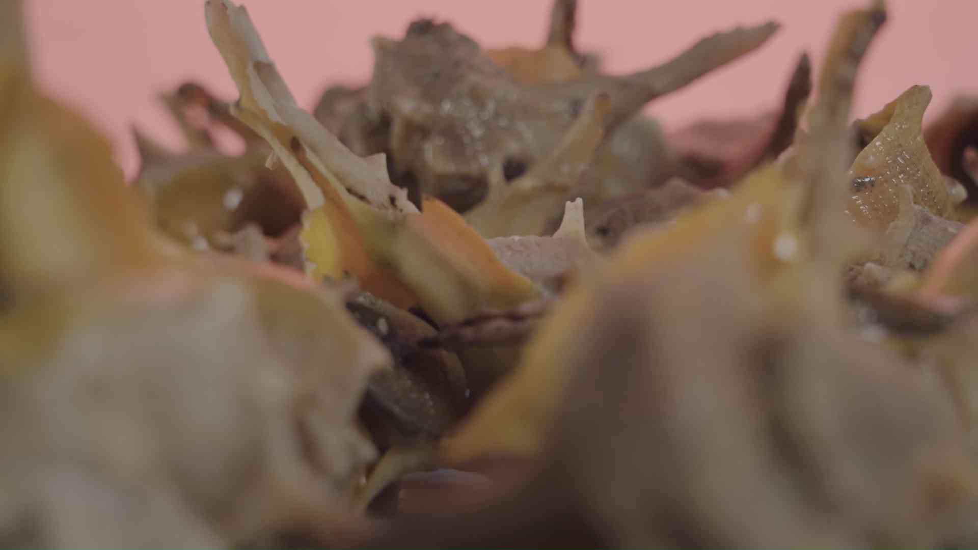 Murici di Chioggia sul tavolo