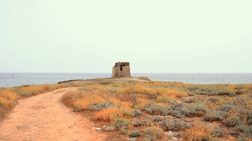 Destroyed brick building by the sea