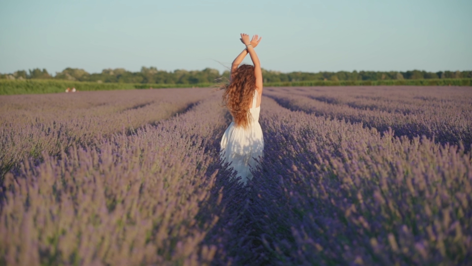 Donna cammina di spalle tra le piante di lavanda