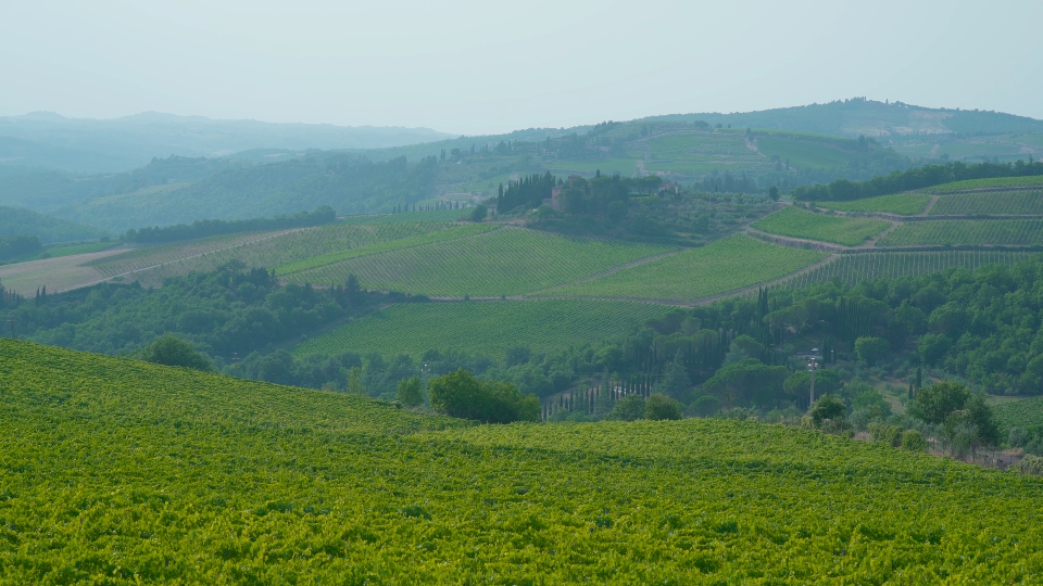 Colline toscane