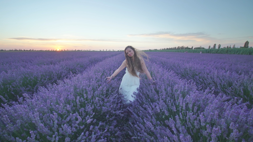 Donna cammina sul campo immenso di lavanda al tramonto