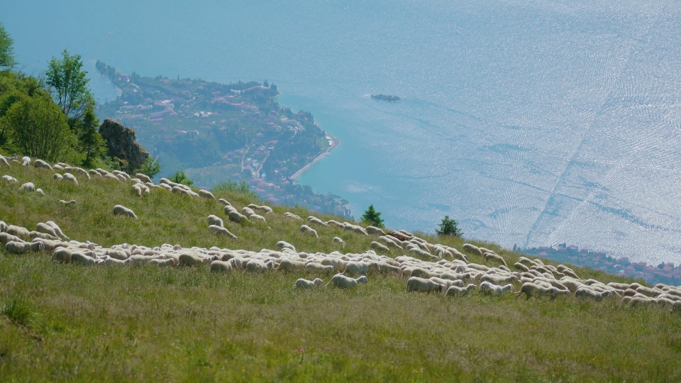 Scopri il Fascino del Lago di Garda con 10 Video Royalty-Free