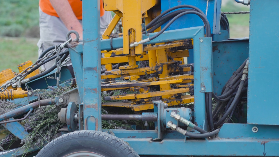 Tractor engine that cuts lavender turns
