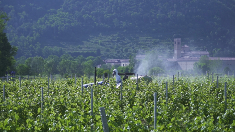 Trattamento fitosanitario e mitigazione del vigneto