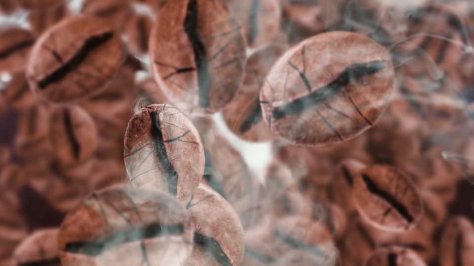 Chicchi di caffè tra fumo