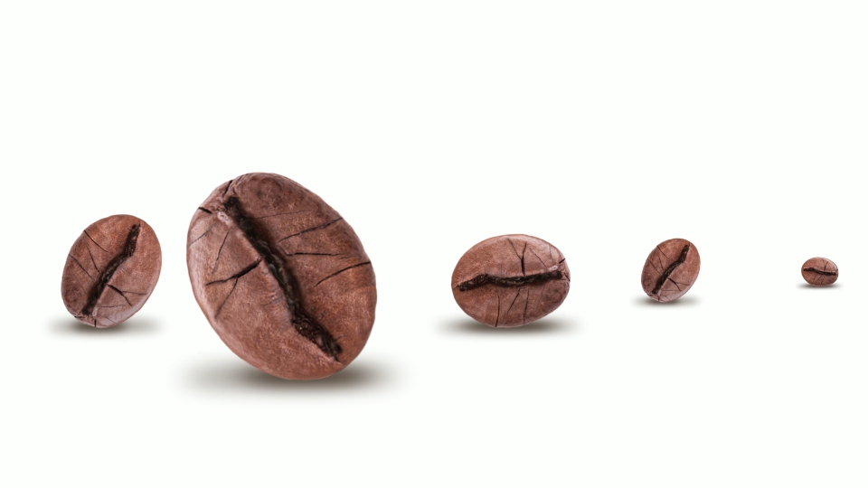 Coffee beans rotate on white background