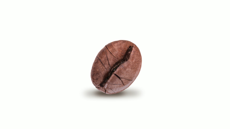Coffee bean