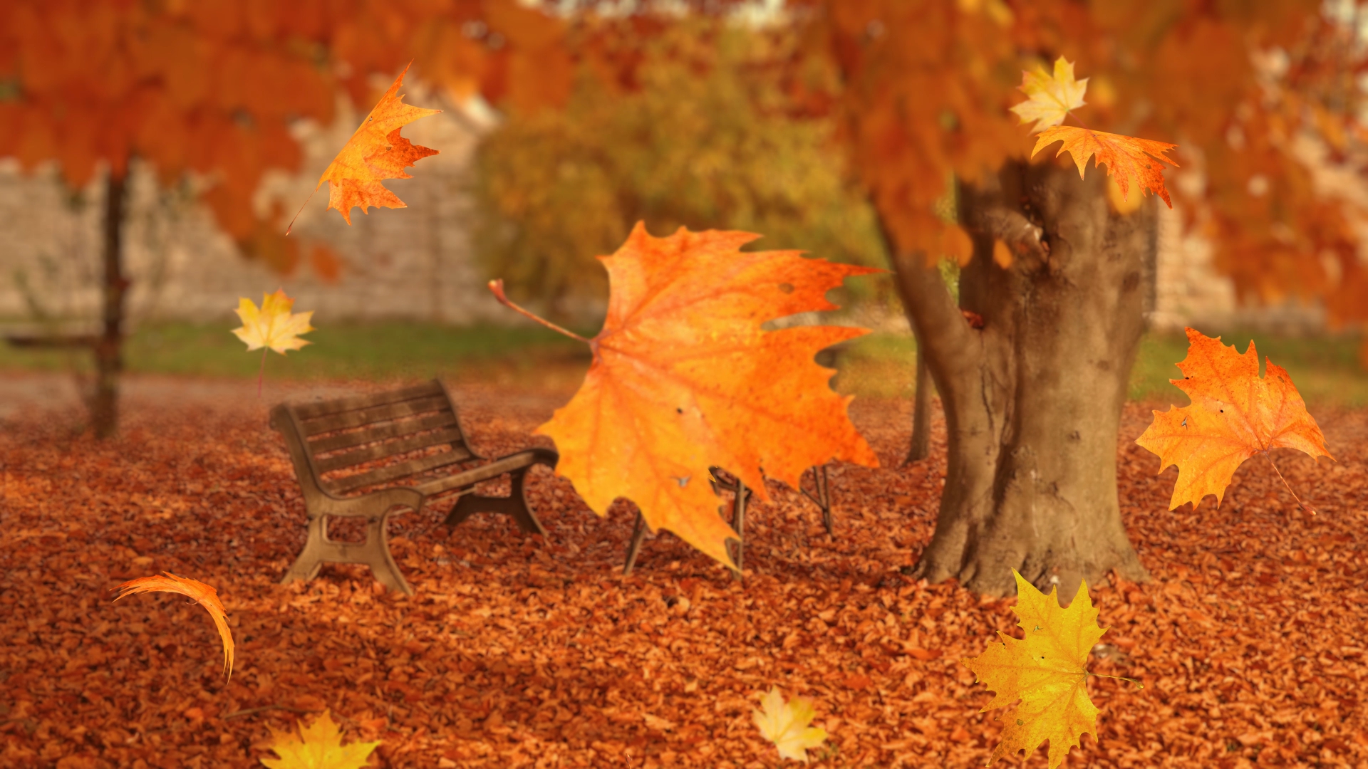 Foglie di autunno cadono nel parco con panchine