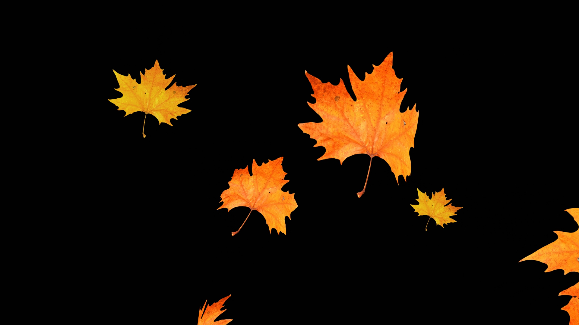 Overlay delle foglie di autunno