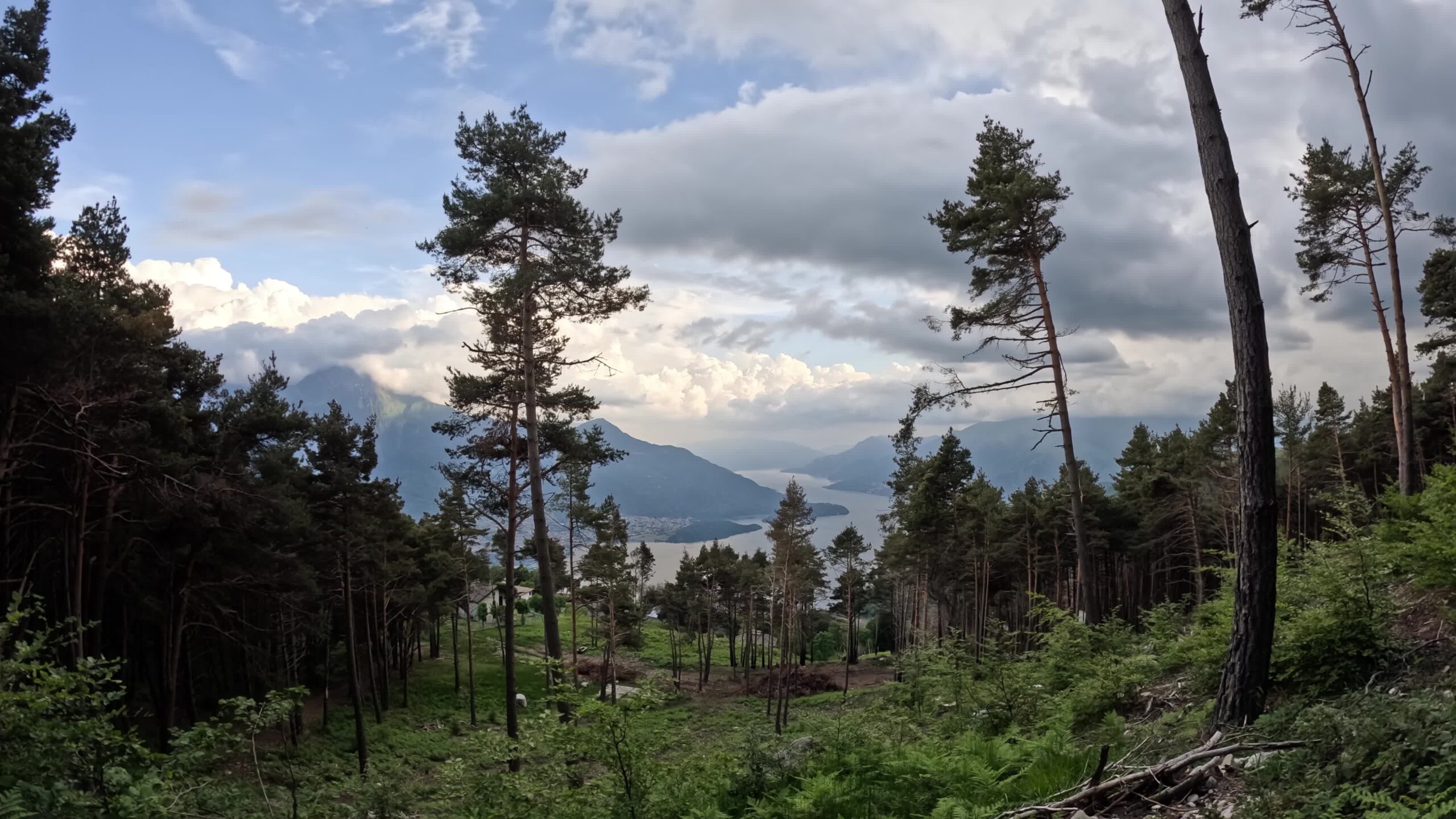 Bosco sopra le montagne del lago di Como
