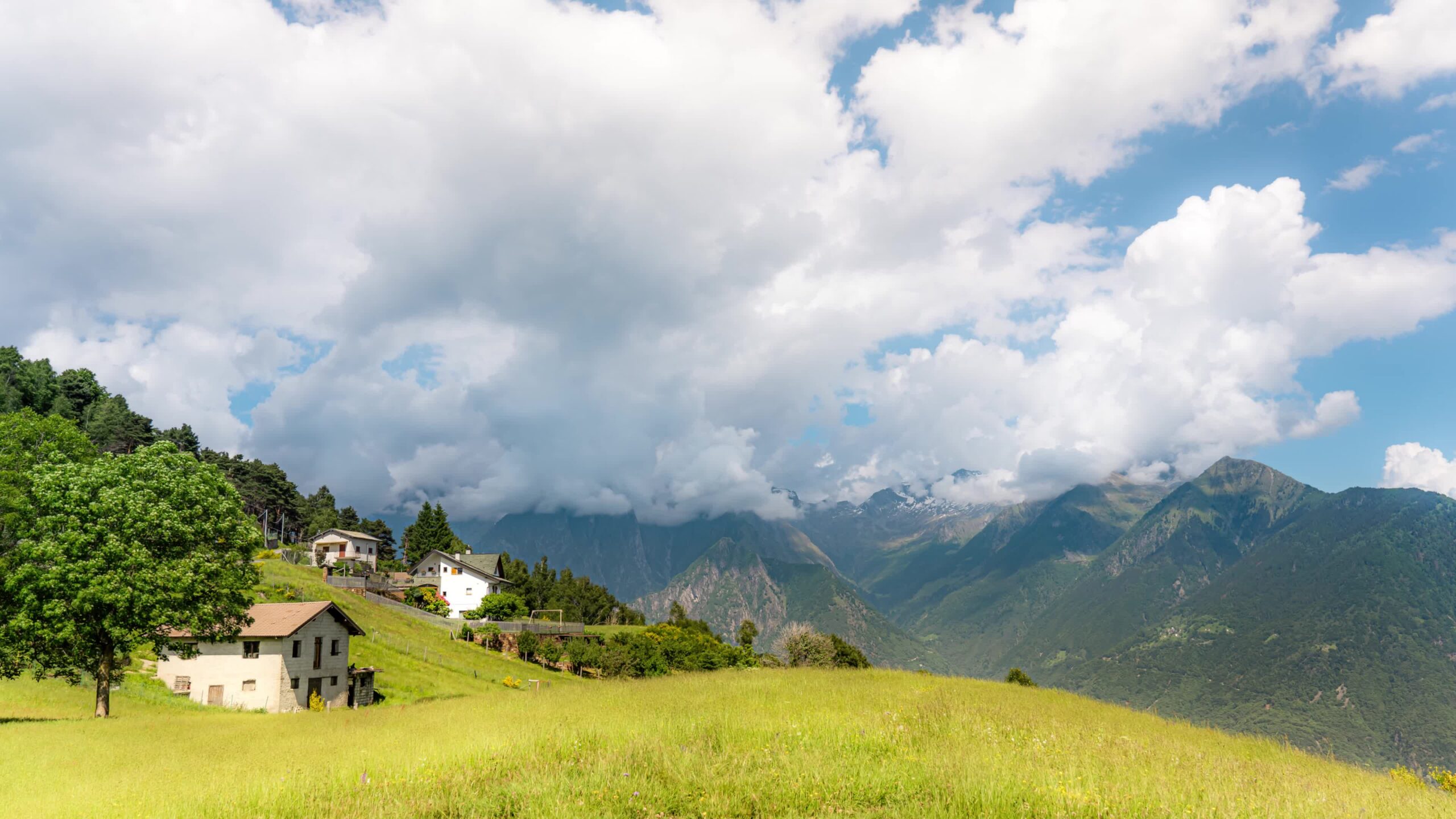 Summer Harmony: A Relaxing Timelapse in the Green Mountain
