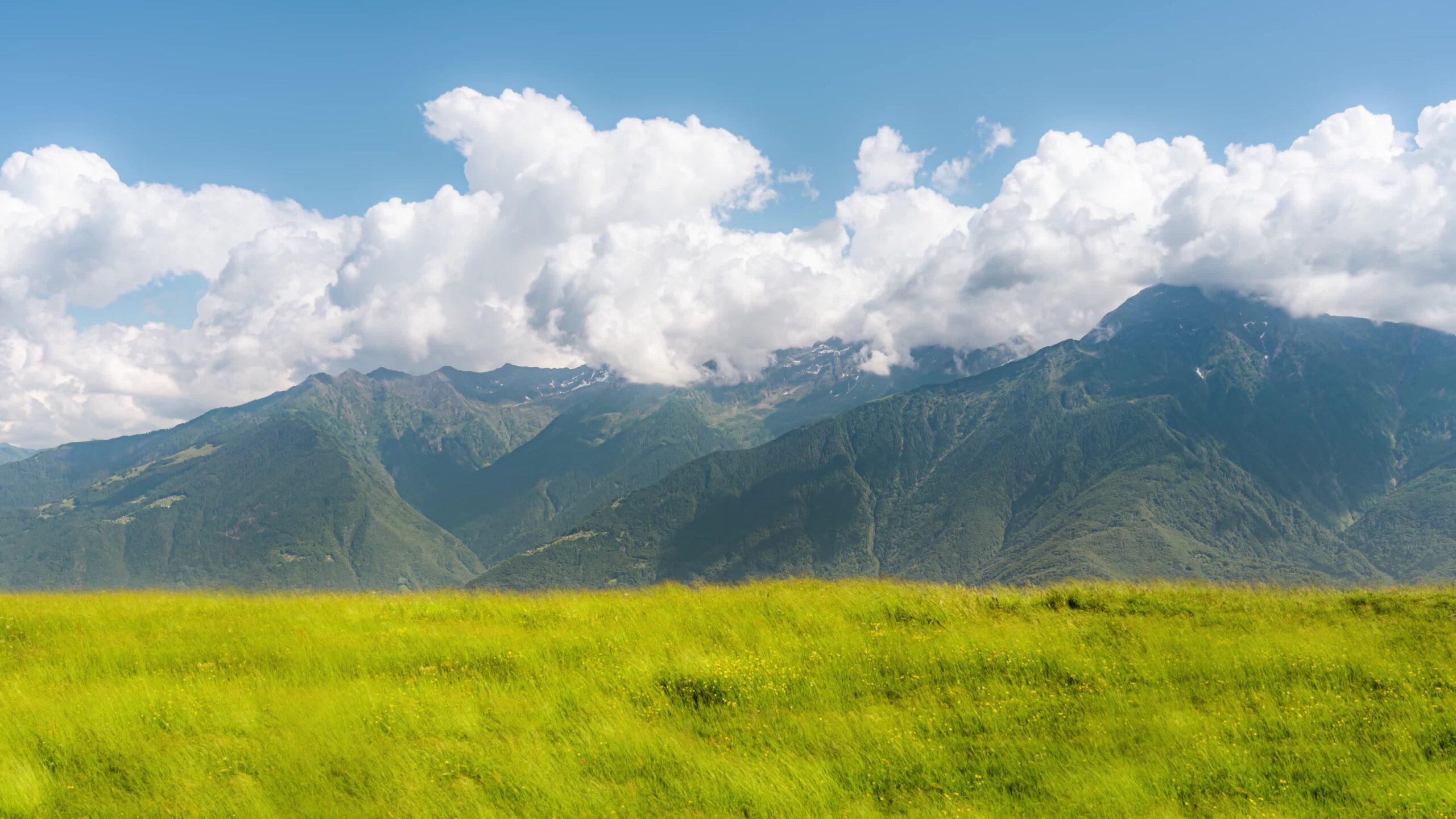 Sfondo rilassante delle montagne tra nuvole bianche e prato verde