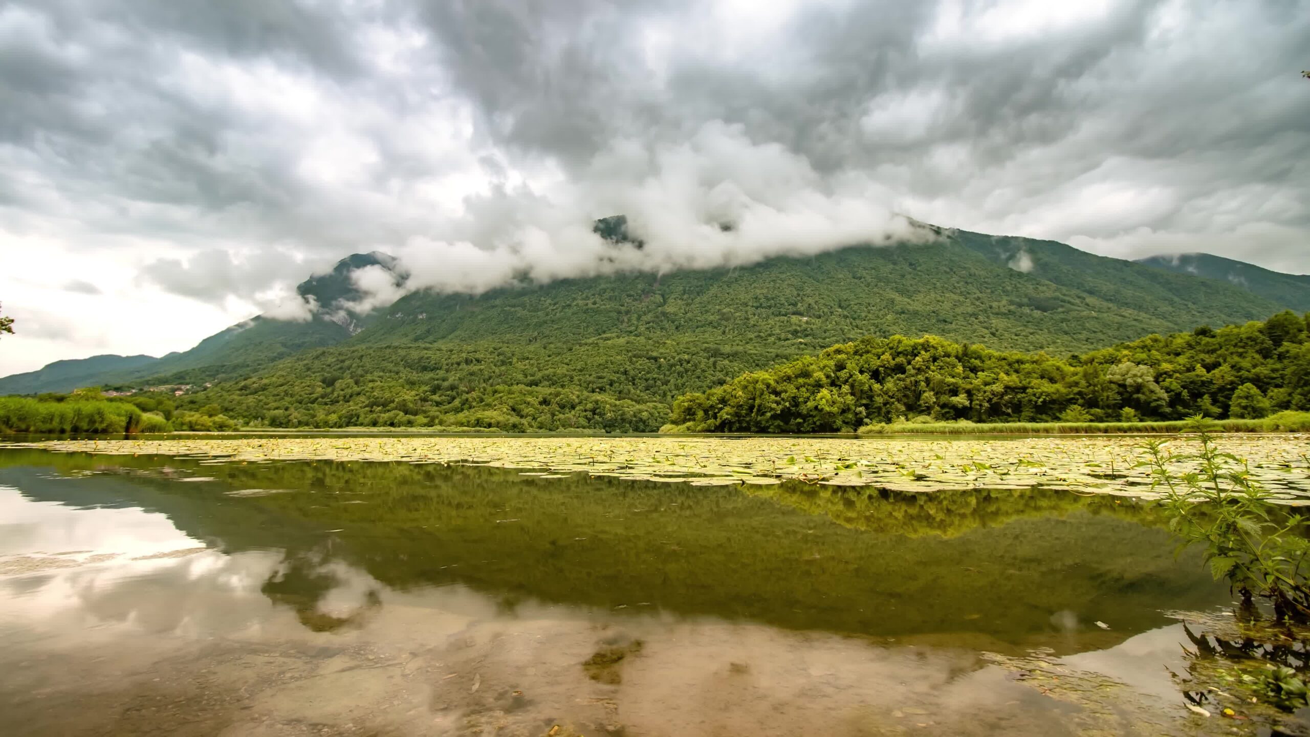 Landscape on a lake in front of cloudy mountain with lily pads on the water