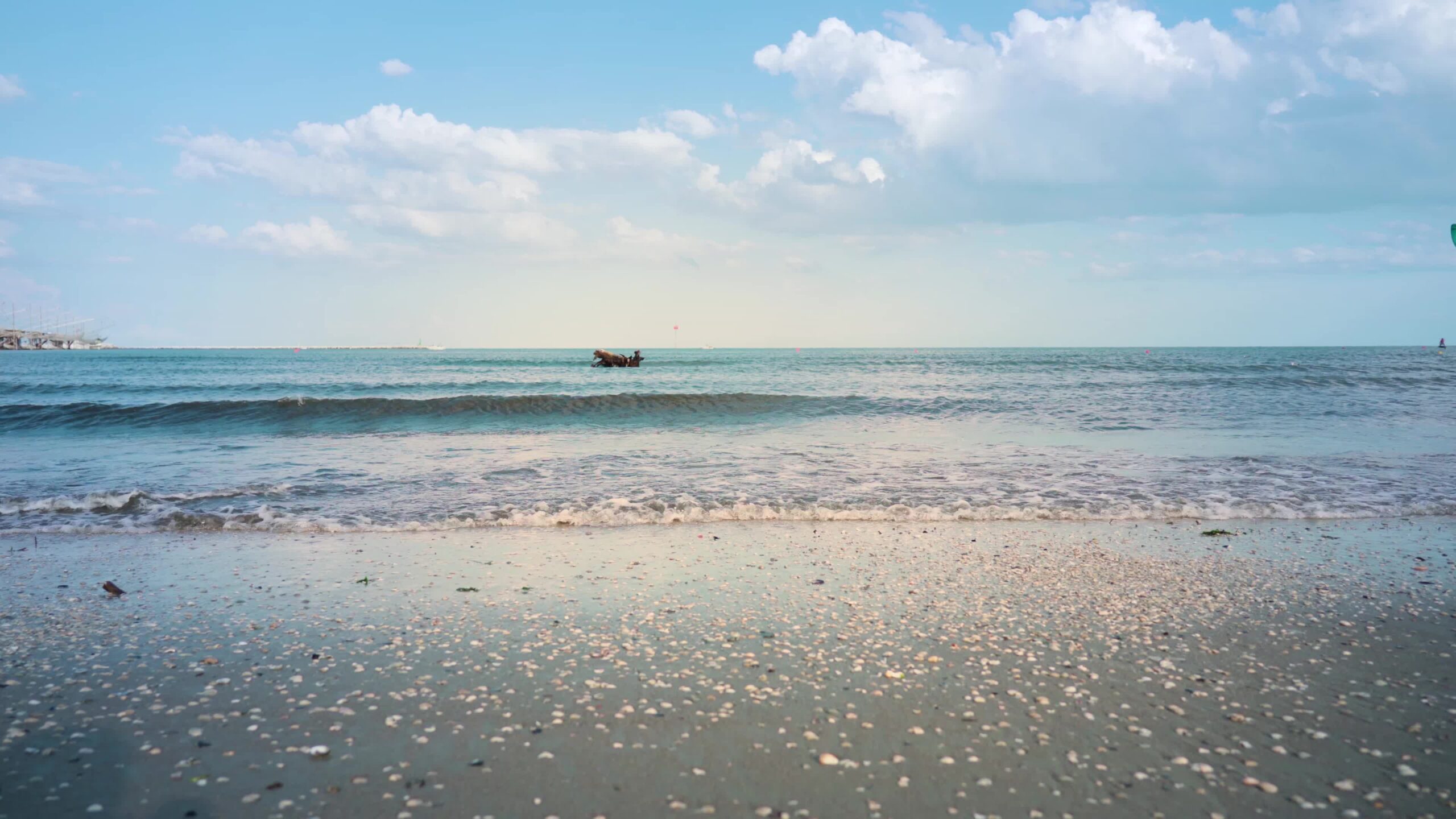 Seashore with shells on the beach