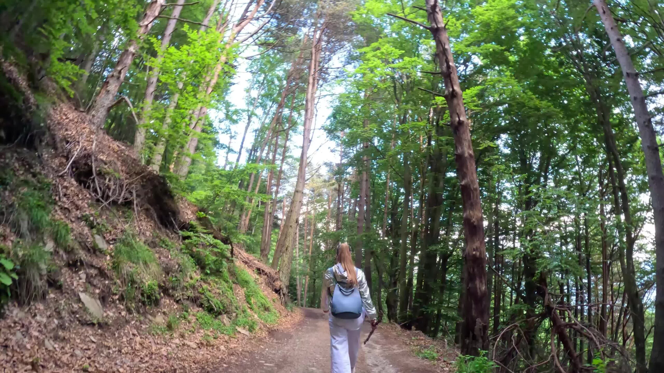 Persona cammina in Hyper-lapse nel bosco verde