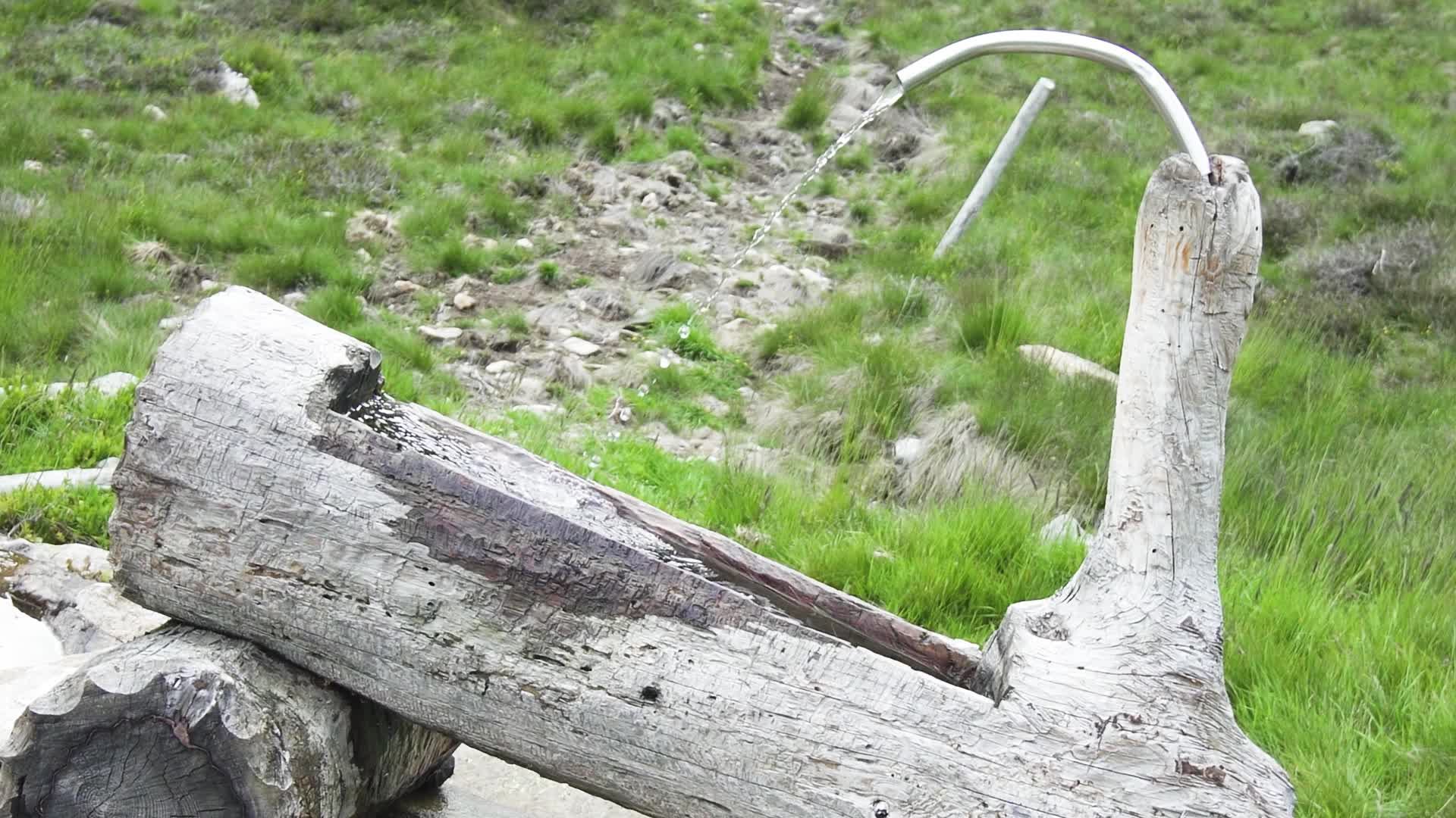 Rubinetto di acqua in un ceppo di legno