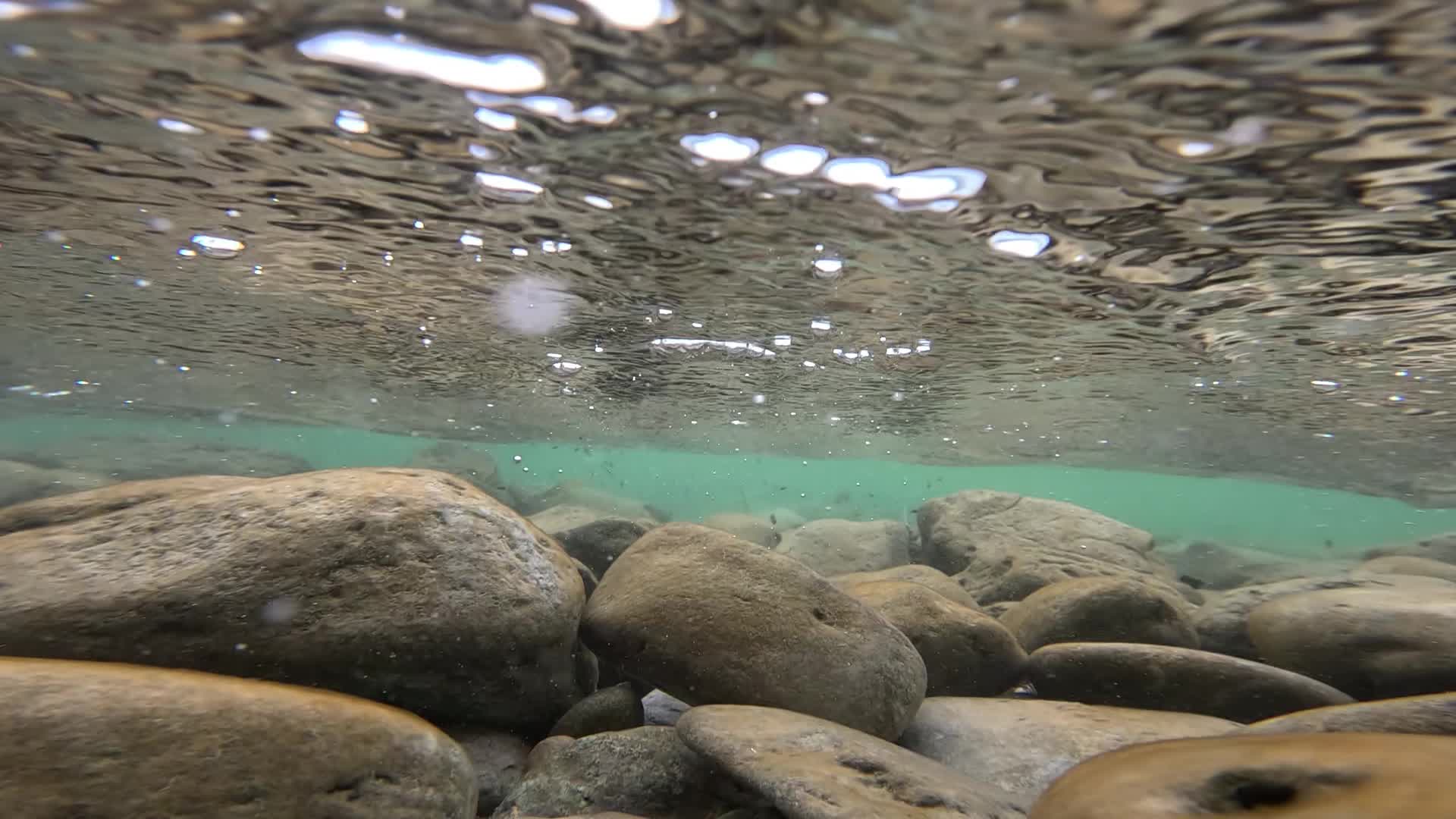 Sott’acqua con fondo fatto da sassi e superficie dell’acqua
