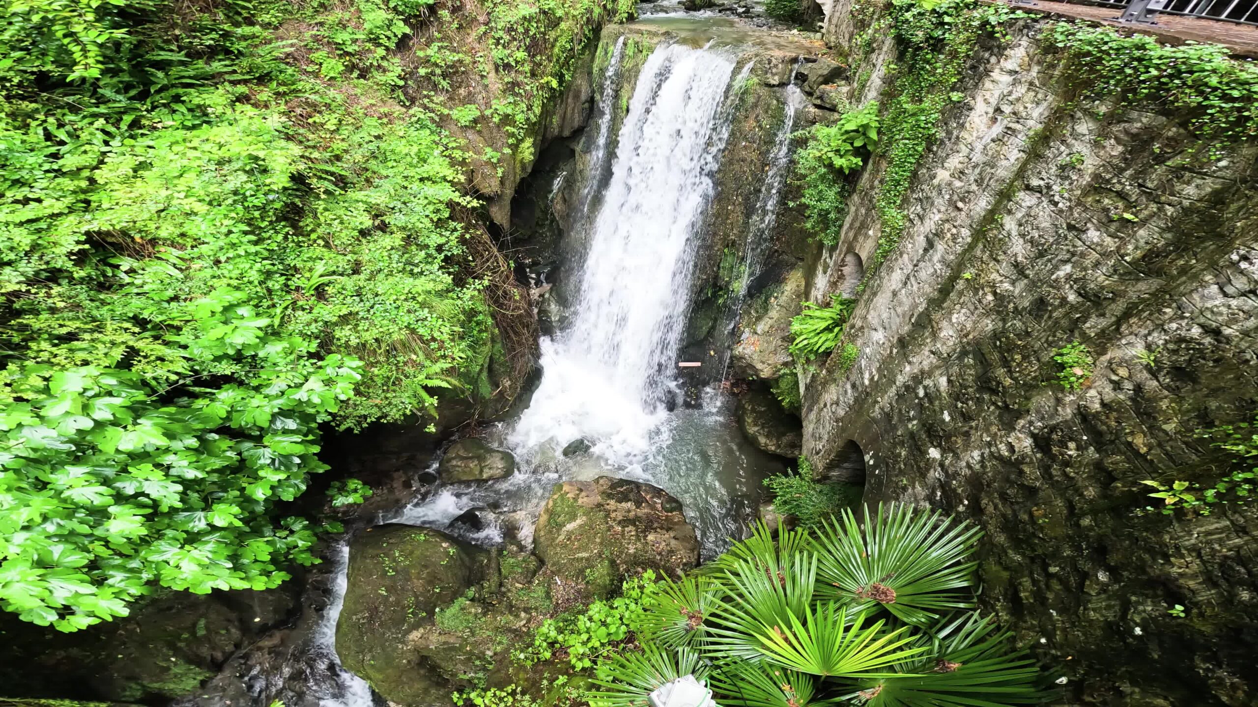 Waterfall among wet green plants