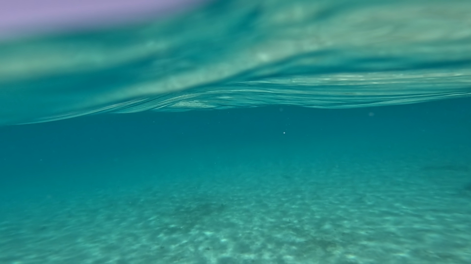 Underwater green Sardinia