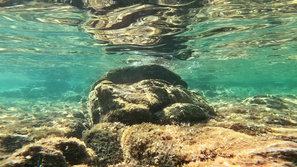 Seabed in Sardinia