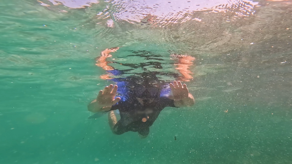 Esplorazione Sottomarina con il Snorkeling