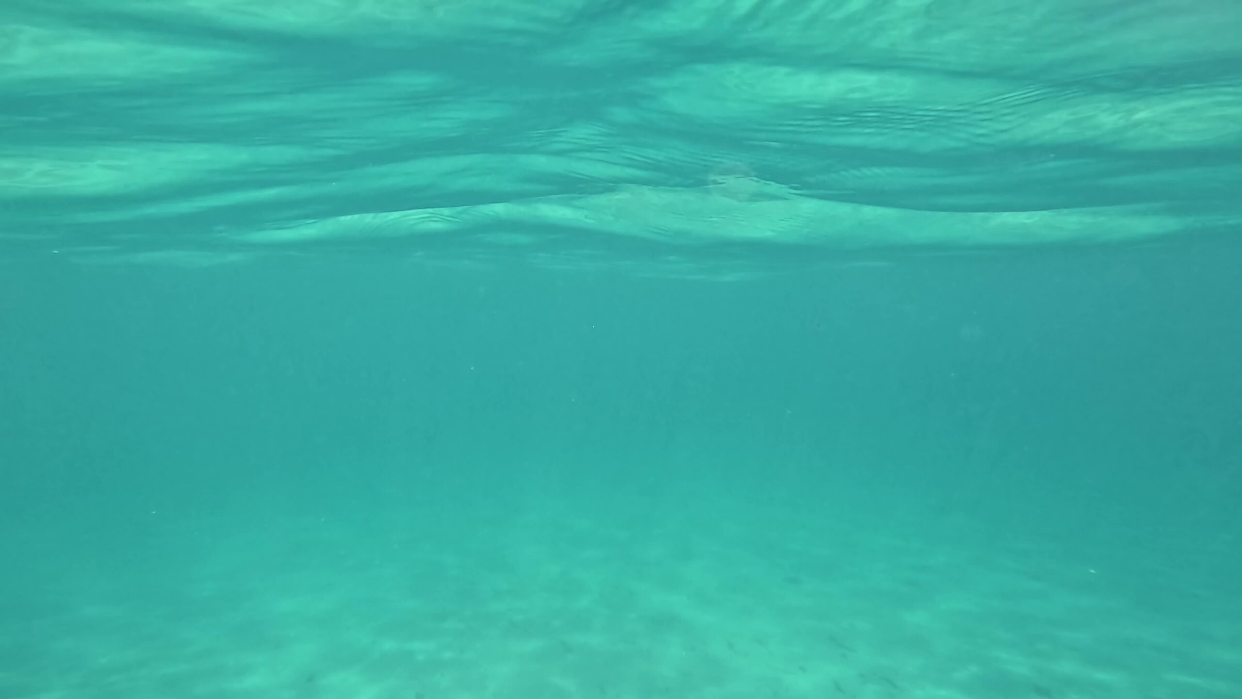 Sott’acqua del mare