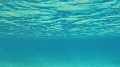 Sott'acqua all'isola di Maddalena