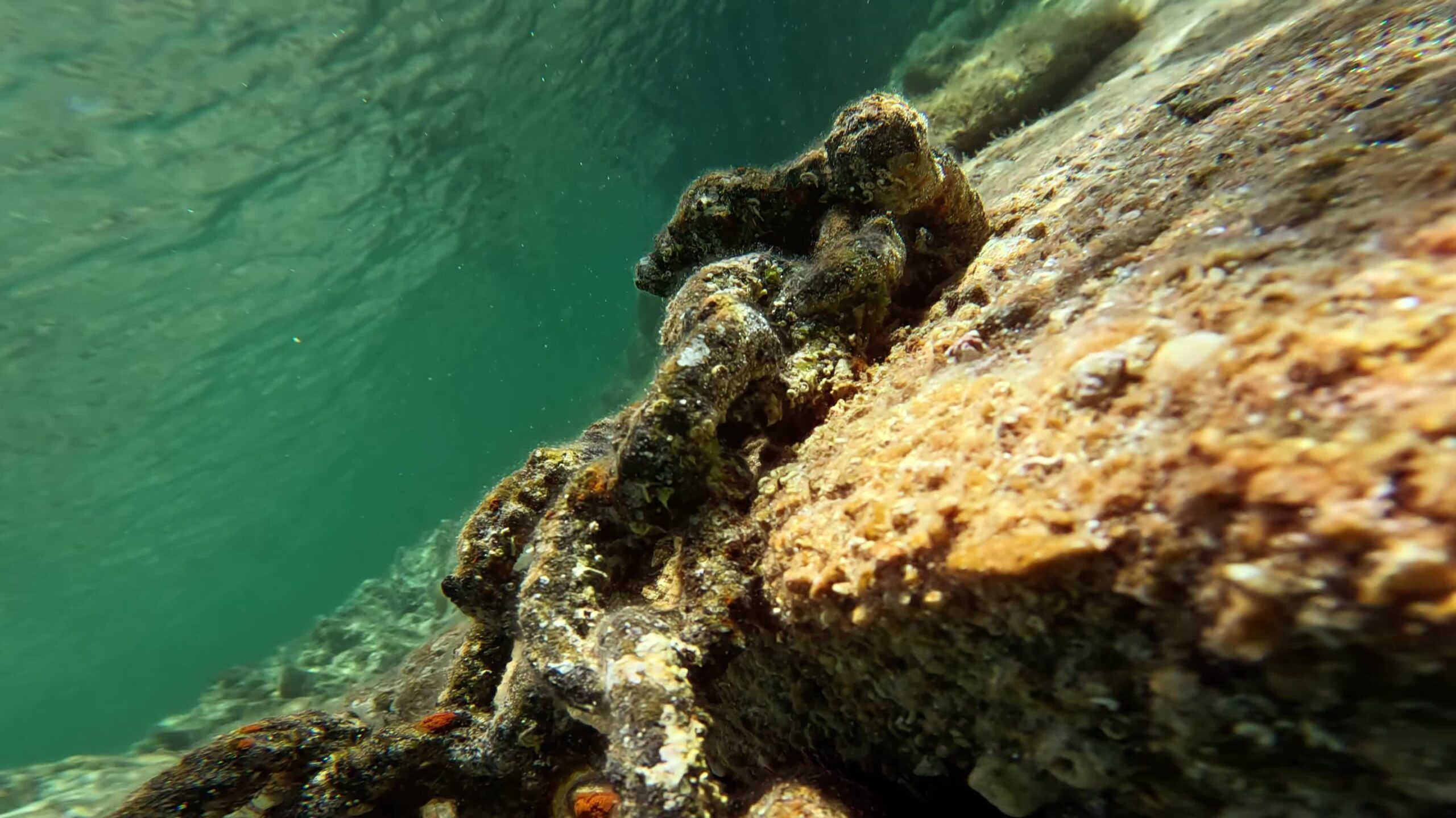 Chain on the seabed