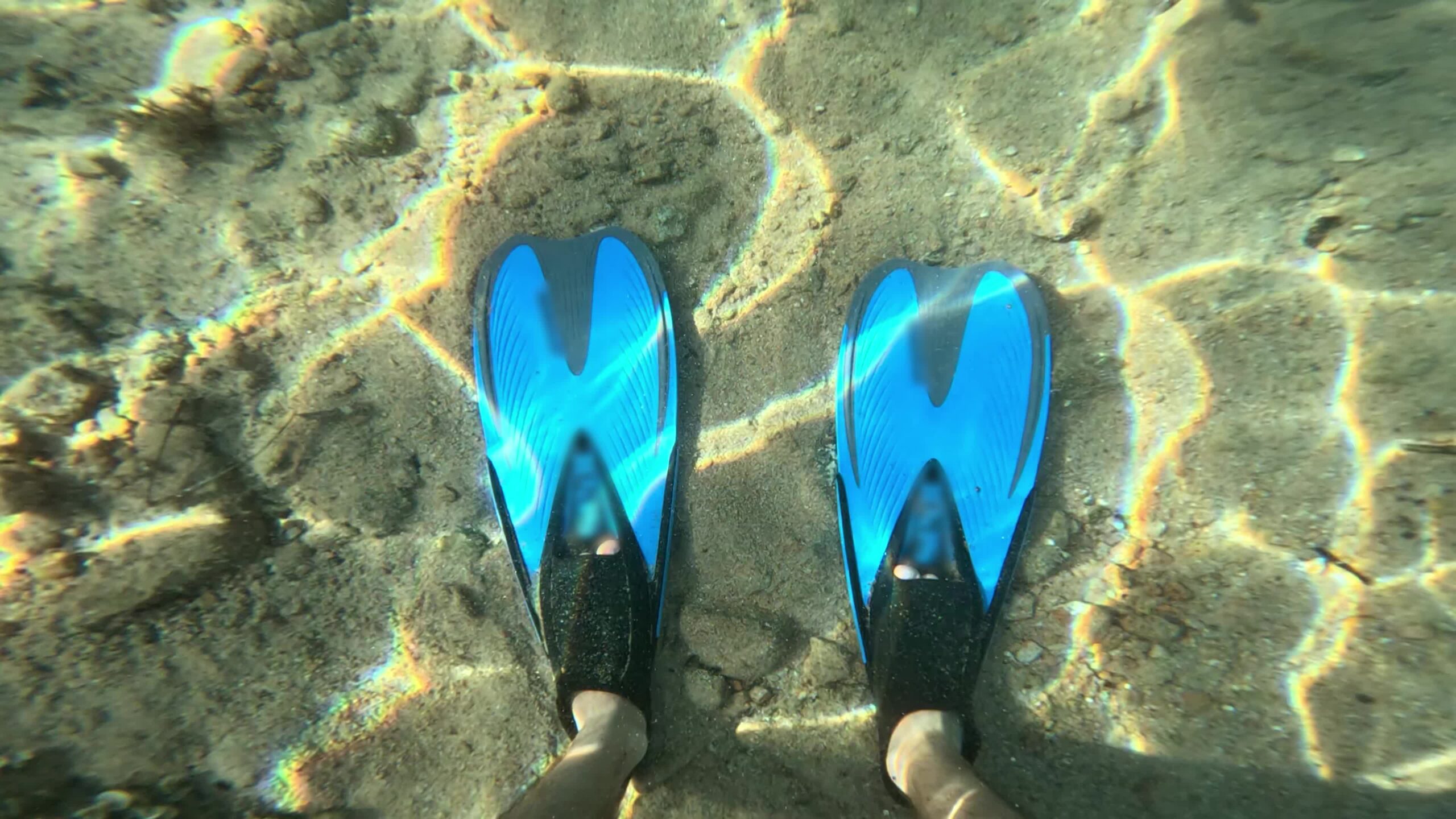 Underwater Exploration with Blue Fins