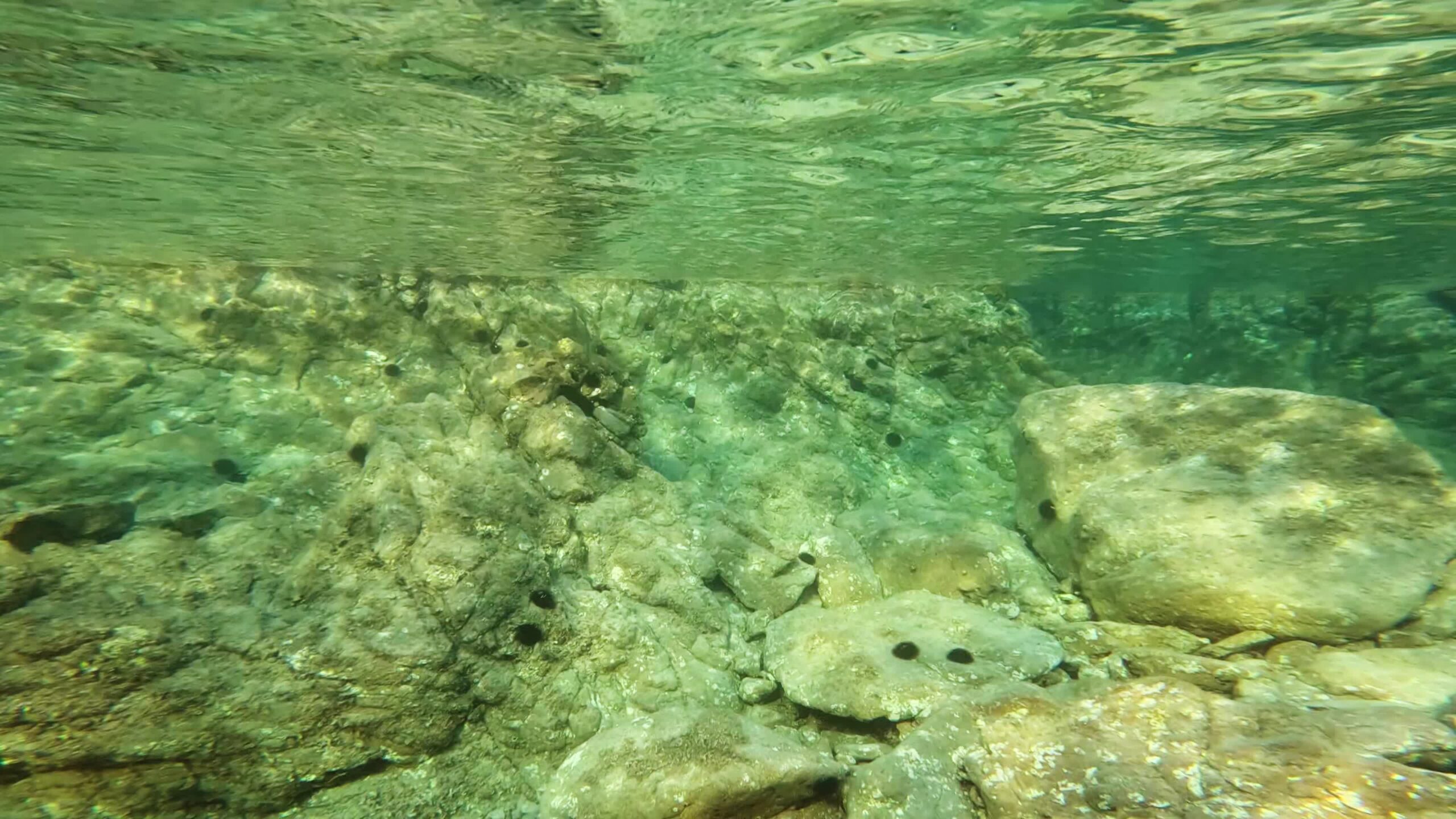Muro di rocce sott’acqua del mare della Saredgna